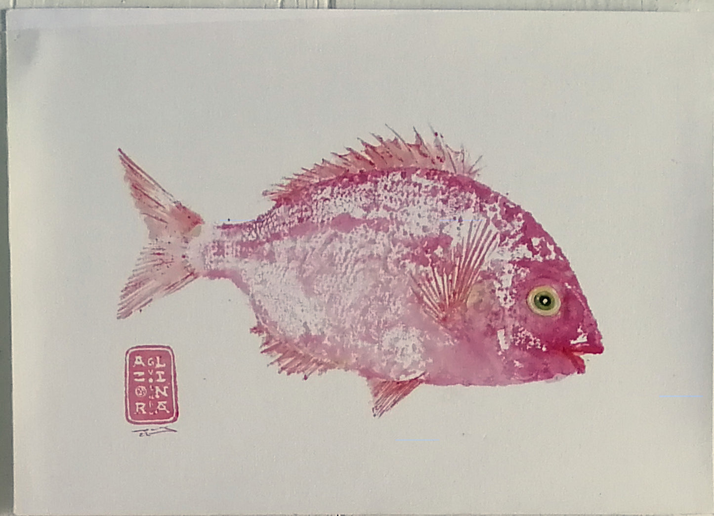 GYOTAKU  Daurade 13122